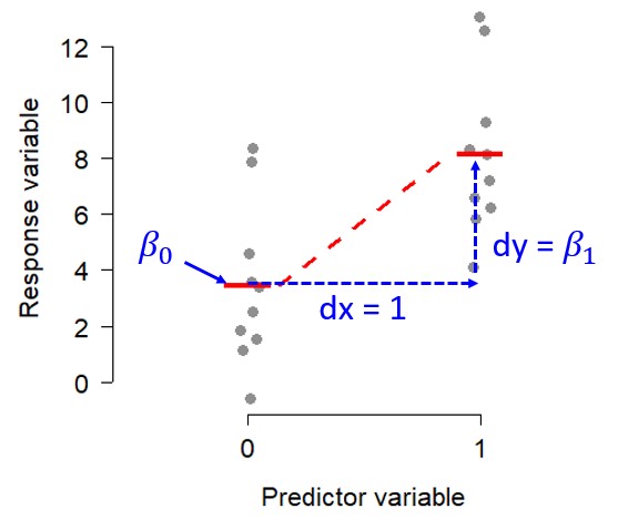 Illustration of how a t-test qualifies as a linear model.