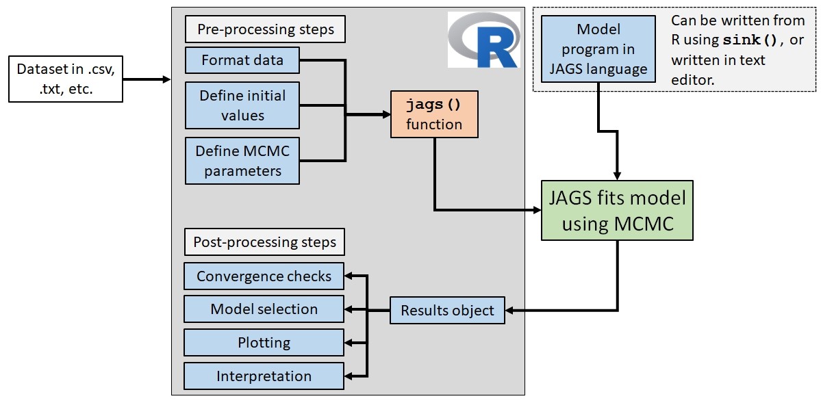 Flowchart showing the workflow for fitting Bayesian models in JAGS using R. A dataset is imported into R, where pre-processing includes formatting the data, defining initial values, and specifying MCMC parameters. These inputs are passed to the `jags()` function, while a model written in the JAGS language is supplied separately. JAGS fits the model using Markov chain Monte Carlo and returns a results object to R. The results are then used for convergence diagnostics, model selection, plotting, and biological interpretation.