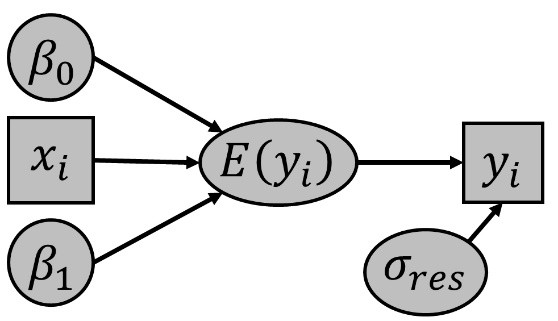 Directed acyclic graph representing a Bayesian linear regression model. Circular nodes represent model parameters and square nodes represent observed variables. The intercept parameter beta-zero, slope parameter beta-one, and predictor x-sub-i all point to the expected response E of y-sub-i. The expected response then points to the observed response y-sub-i, which also depends on the residual standard deviation sigma-sub-res. The arrows indicate the dependency structure used to define the model.