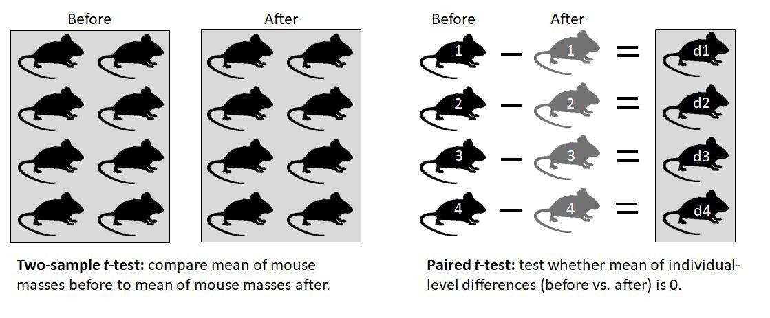 Diagram comparing a two-sample and a paired t-test. The left panel shows independent groups of mice measured before and after treatment, with the two-sample t-test comparing the group means. The right panel shows the same mice measured before and after treatment, with each mouse paired to itself. Individual differences (d1–d4) are calculated for each mouse, and the paired t-test tests whether the mean of these differences equals zero.