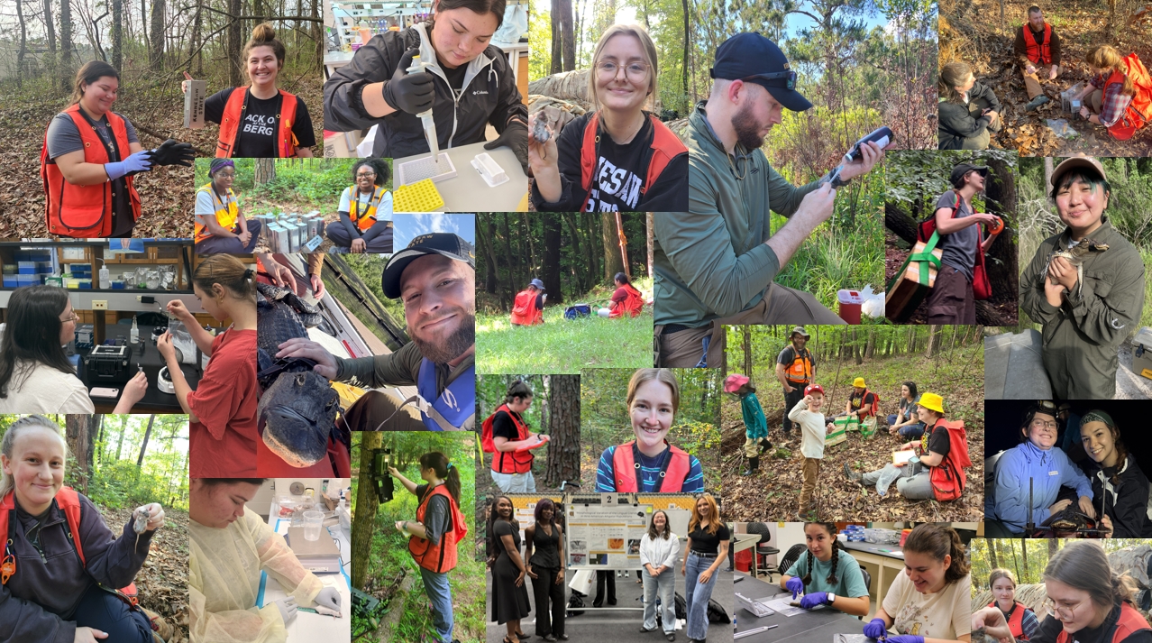 Collage of students in the lab and field over the period 2023 through 2026.