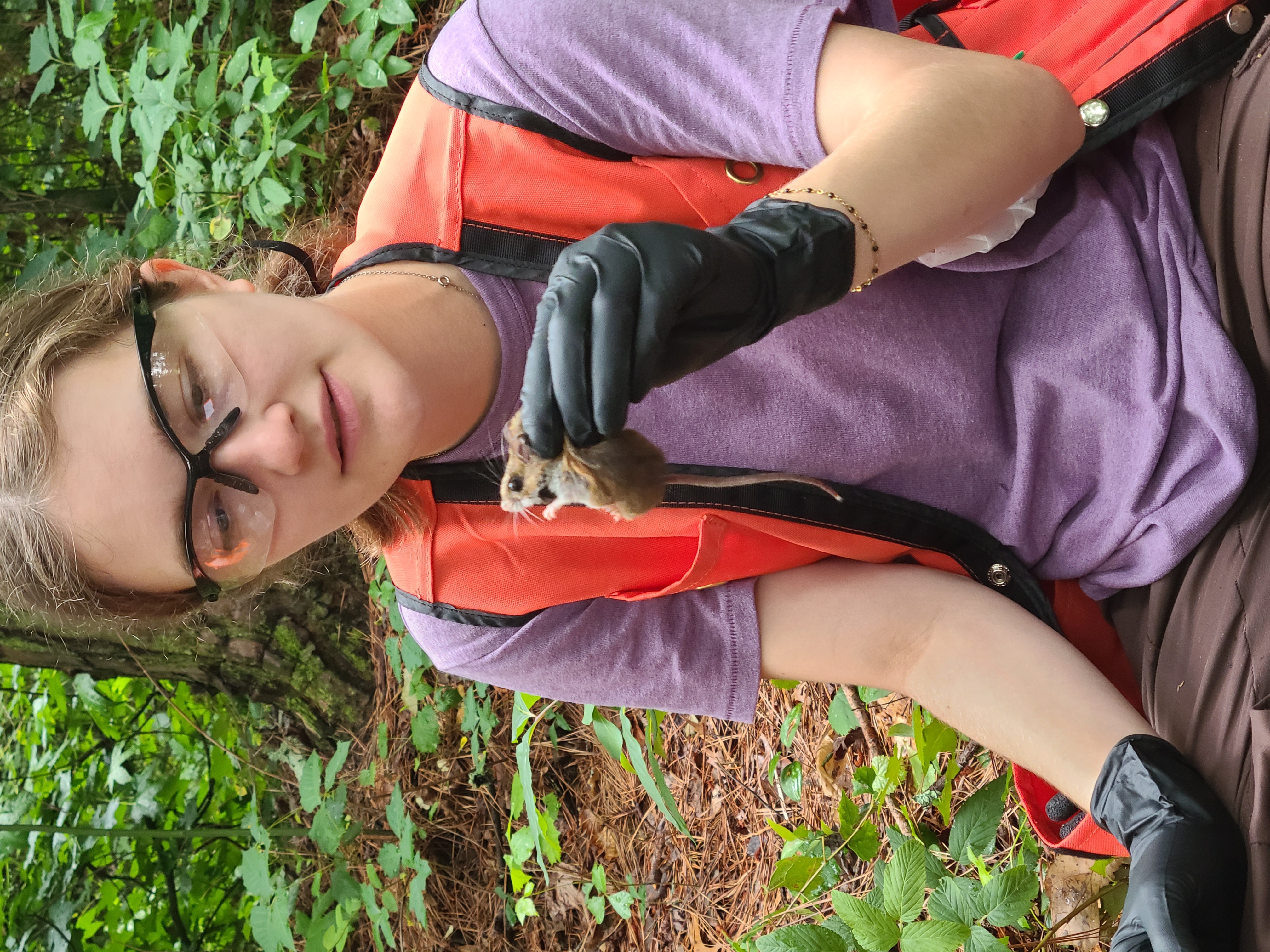 A person holding a mouse and looking at it.