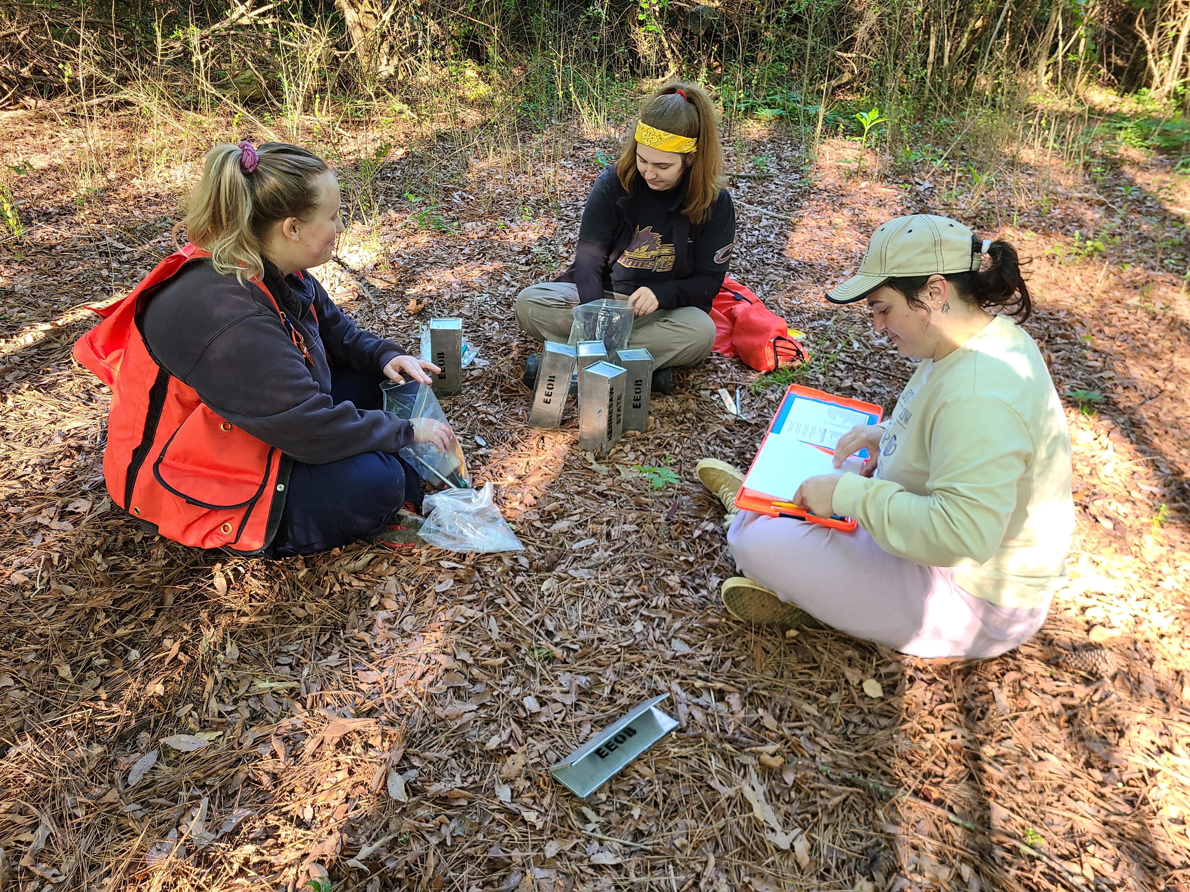 Three students in orange vests sitting in a forest.